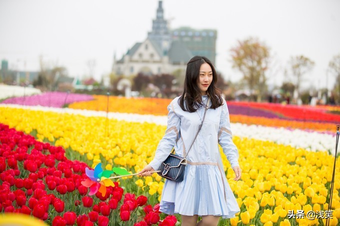芬芳之人方能遇到芬芳之心，郁金香开成了荷兰花海