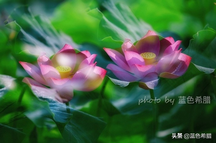 佳能5d3能拍多少数量照片,佳能5d3有多重曝光拍摄技巧