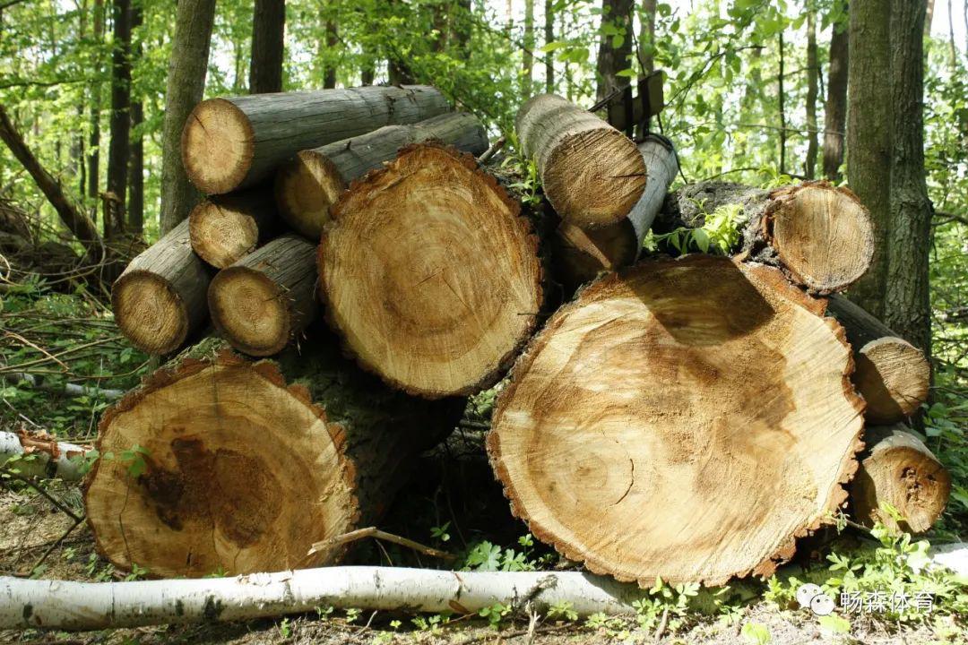 常见木材的种类简介及图片,常见木材的种类档次