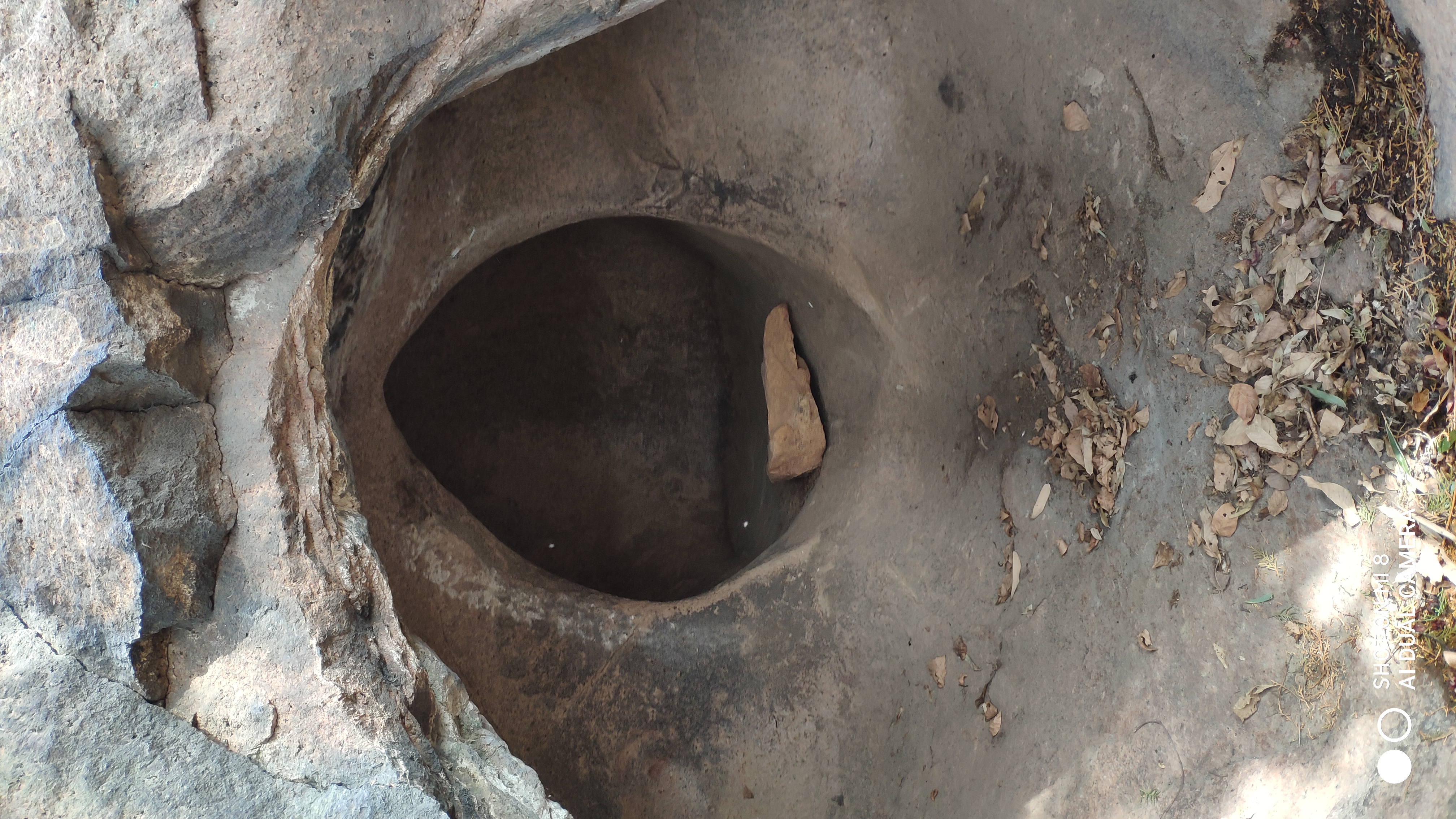 崂山水畔菜蔬鲜，黄石洞中书韵长