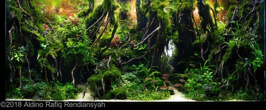 造景如何看起来有层次,十个最好看的造景