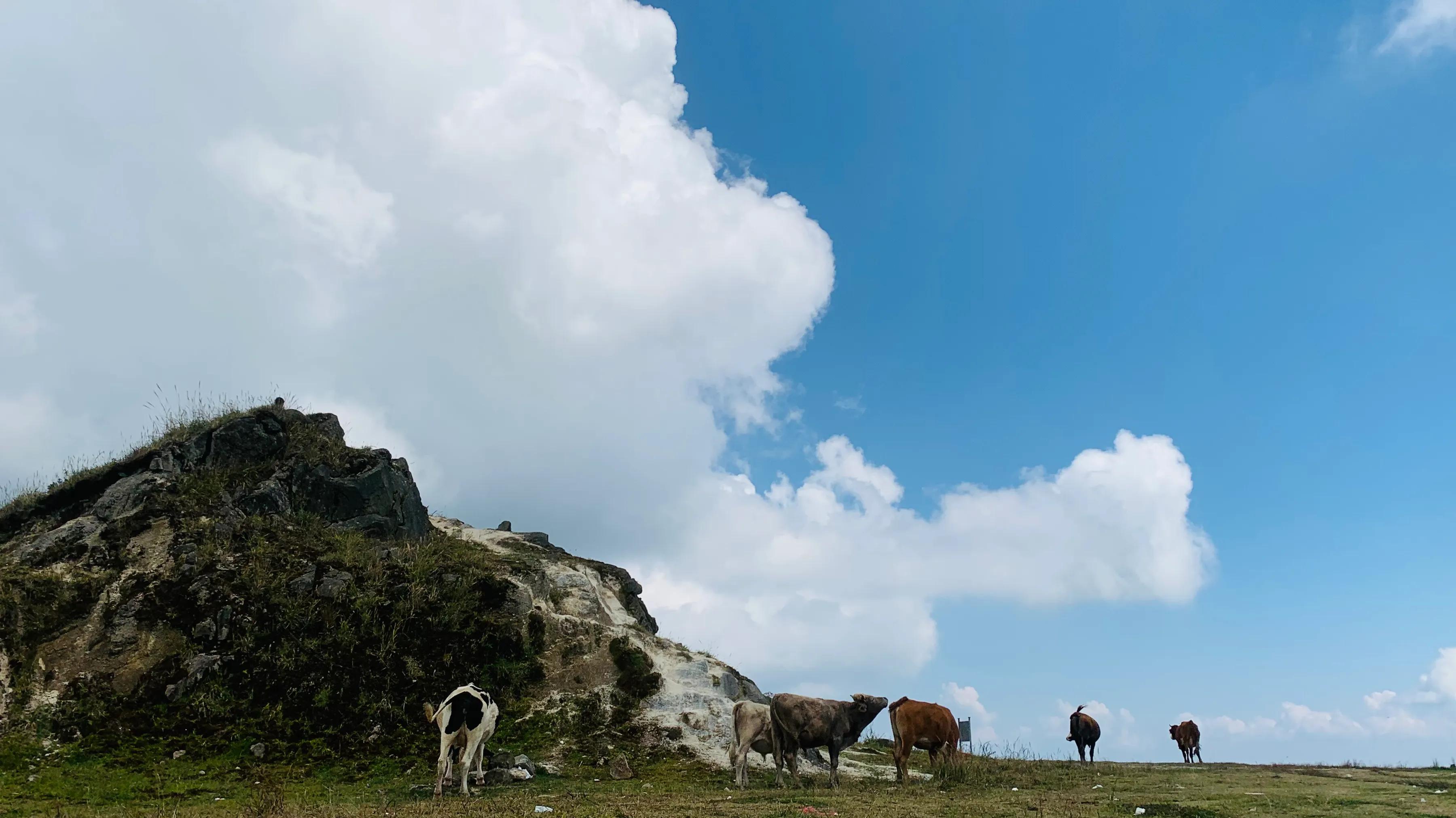 北京周边避暑负氧离子高的地方,四大避暑胜地哪个负离子最高