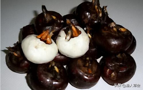 中国地理标志农产品品牌有标识吗,全国农产品地理标志排名