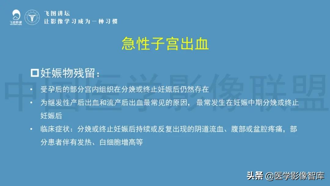 子宫解剖结构输卵管和卵巢位置,子宫附件ct影像学正常解剖表现