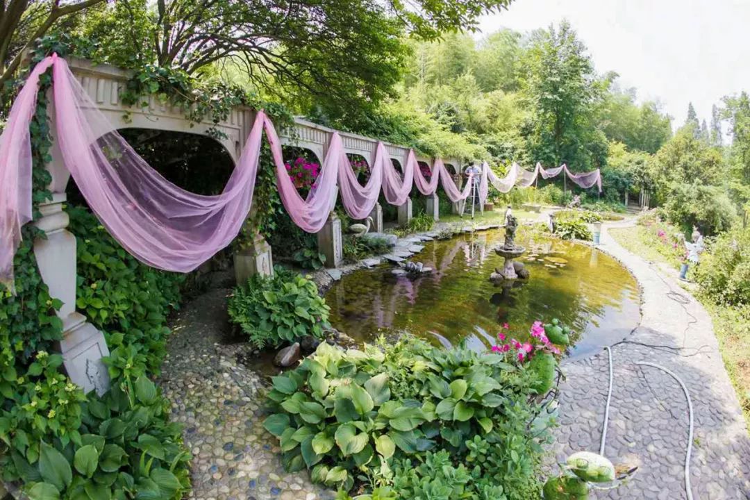 一个安徽爷爷，花1万块种出5000㎡私家花园，被评为中国最美