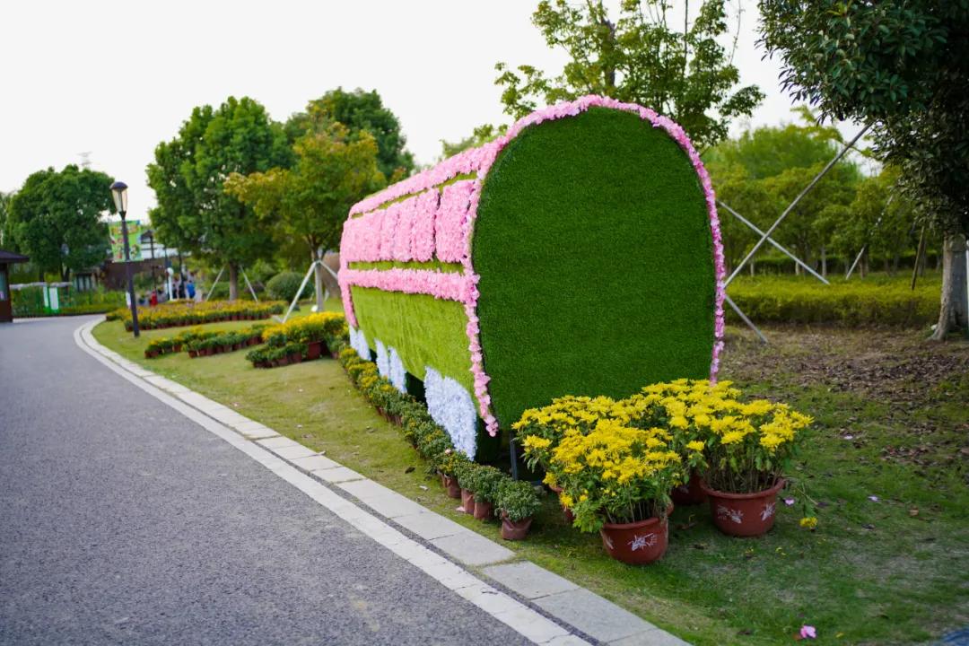 藏不住了！国庆节苏州这片花海美哭了！大人小孩玩到不想走