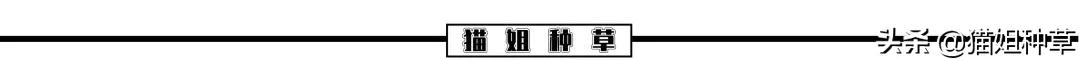 橘朵的最新联名,橘朵联名款试色