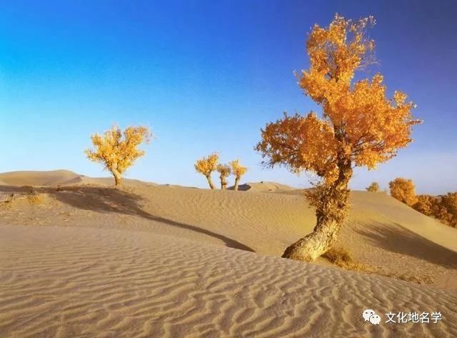 *疆新**地名为什么要进行汉字译写和单一罗马化？