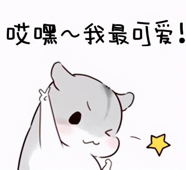 缃戞枃鎴掓帀姣掔樉,缃戠粶灏忚鎴掓帀姣掔樉