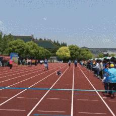 新娘开心的搞笑视频,搞笑gif开心一刻女司机上车