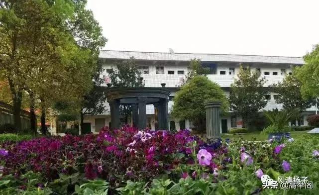 系列散文——李淑孟：我们的学校是花园（之二十）