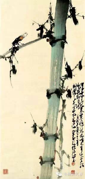 赵少昂花鸟鱼虫完整版,岭南著名画家赵少昂绘画视频