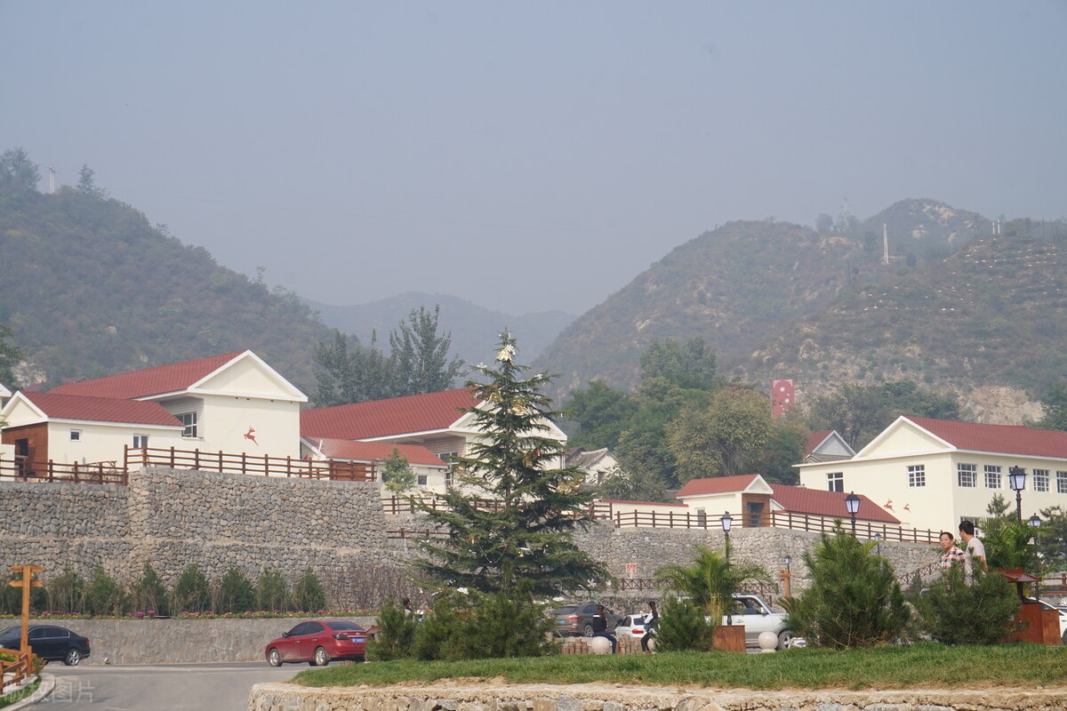 2021农民专业合作社农业补贴政策,广西农民种果树补贴新政策2021