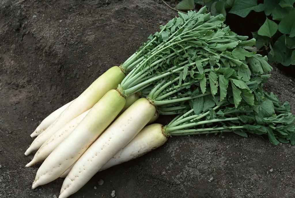 帮你补血养气缓解痛经,痛经的四种食疗方法推荐