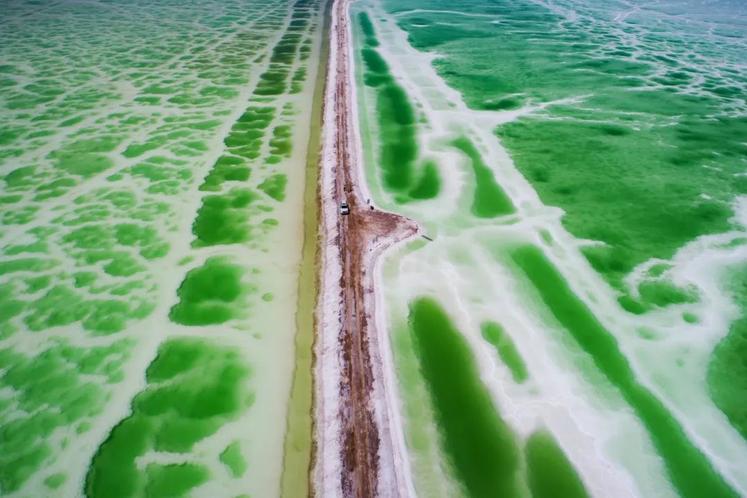 青海旅游攻略景点必去,一生一定要去一次青海吗