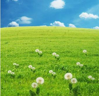 魔鬼在人间受到惩罚,懵懂时代女孩如何避免被侵害