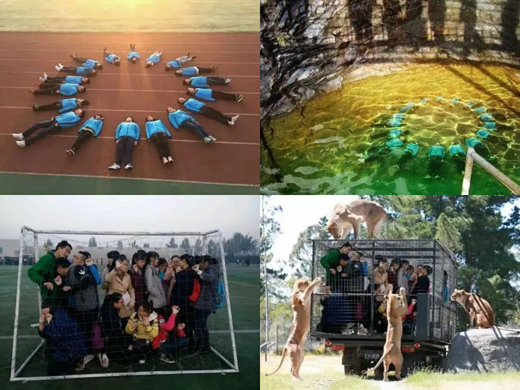 鹿晗二次元照片,当鲨鱼遇到大神鹿晗