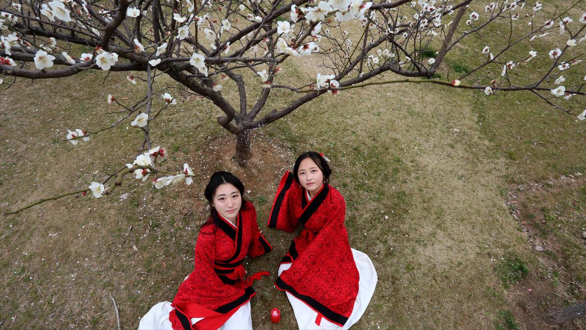 唐僧救出五指山下的孙悟空的故事,孙悟空西天取经师徒四人