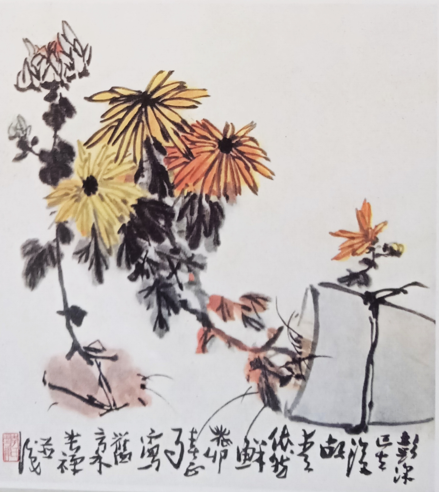 国画菊花初学者怎么画视频,圆形卡纸怎样画菊花国画