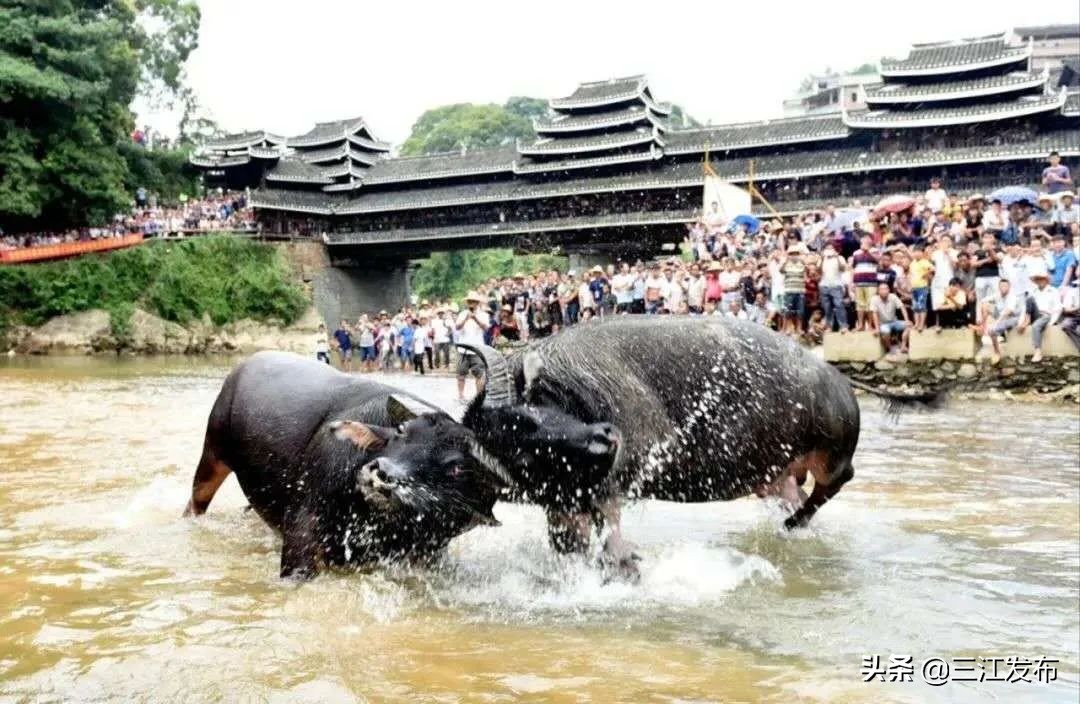 【“5.19”中国旅游日】国家移民管理局各边检总站齐发力，同为三江旅游扶贫打call!