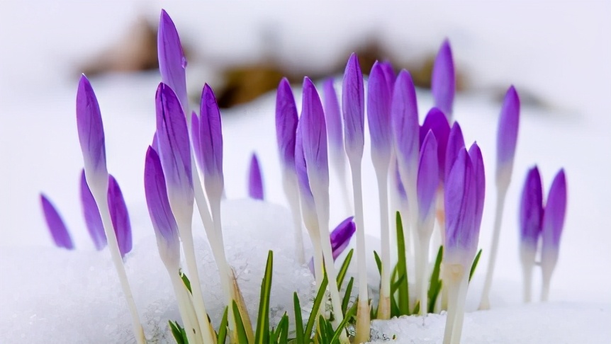 给青年教师的36条成长建议读后感,读书给教师的建议