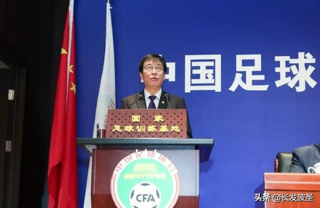 瓒冲崗鎵╁啗,瓒冲崗鎵╁啗鍚庣画