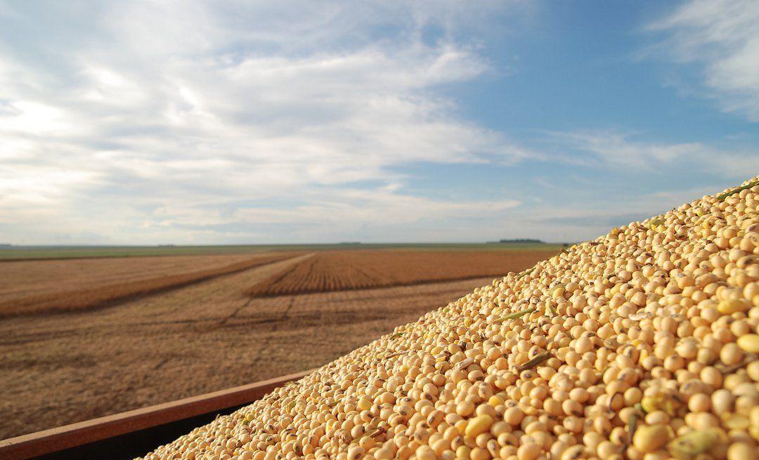 美国操控粮食价格,美国4大粮商与中国打粮食战