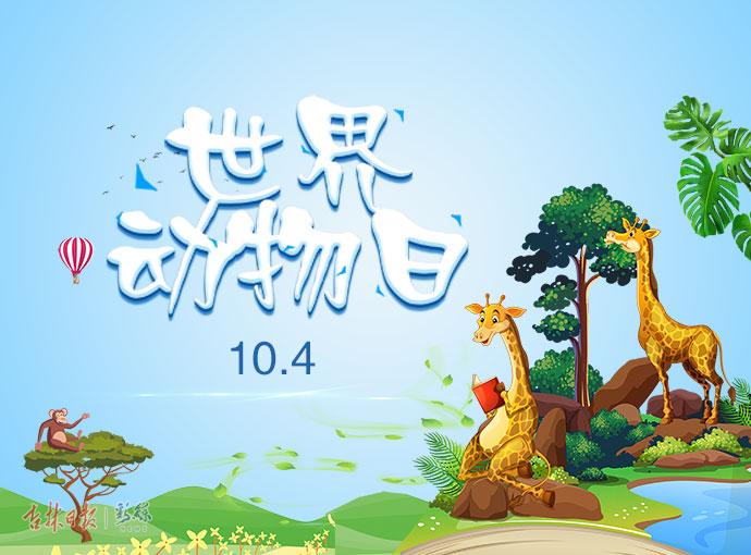 国庆节快闪是怎么做到的,国庆节快闪视频特点