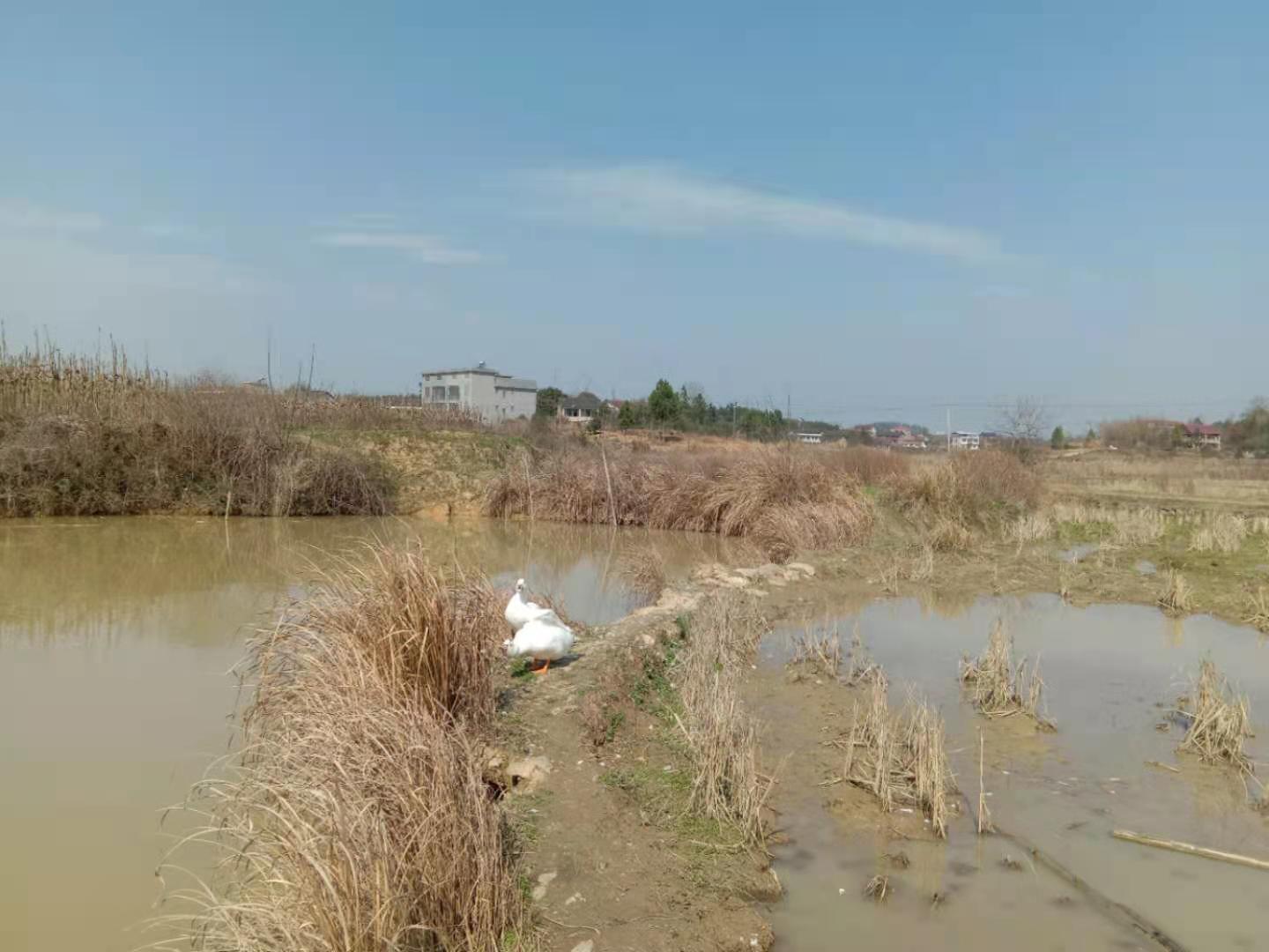 小小鸟,长篇小说）第五章不一样的天空第5节