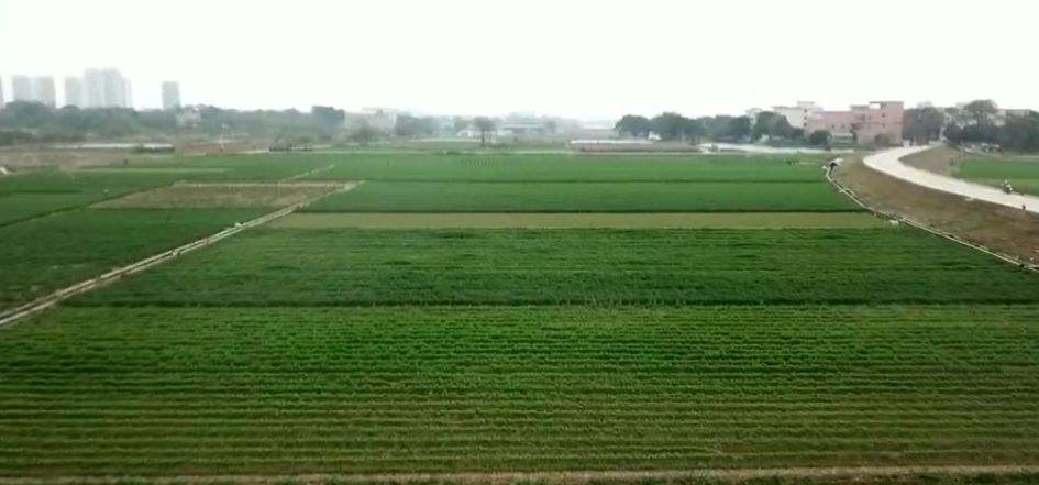 拥最美河滨与人行道，来狮山镇象岭村叹生态慢生活