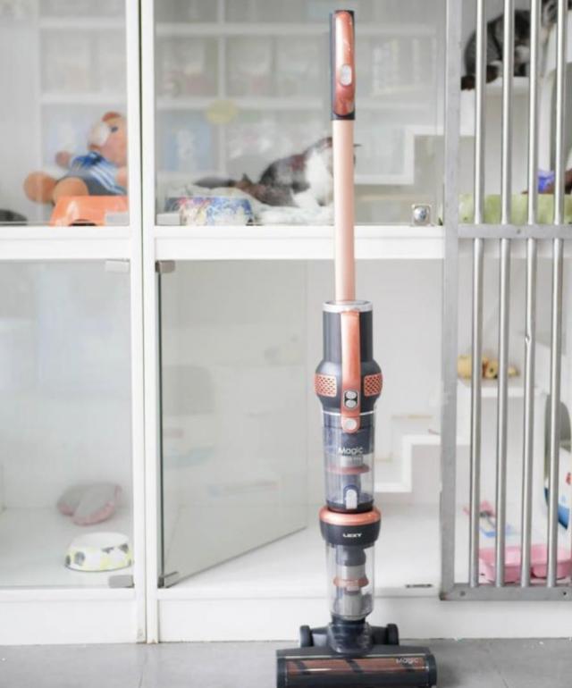 车载吸尘器十大品牌排行榜,床上小吸尘器十大品牌有哪几个