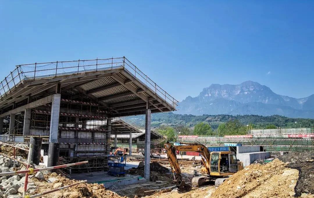 青岛威士忌有必要喝吗,青岛限量版威士忌怎么喝好喝