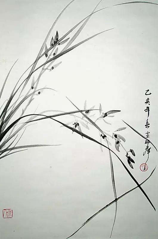 如何画兰花最好看的,君子兰花如何画