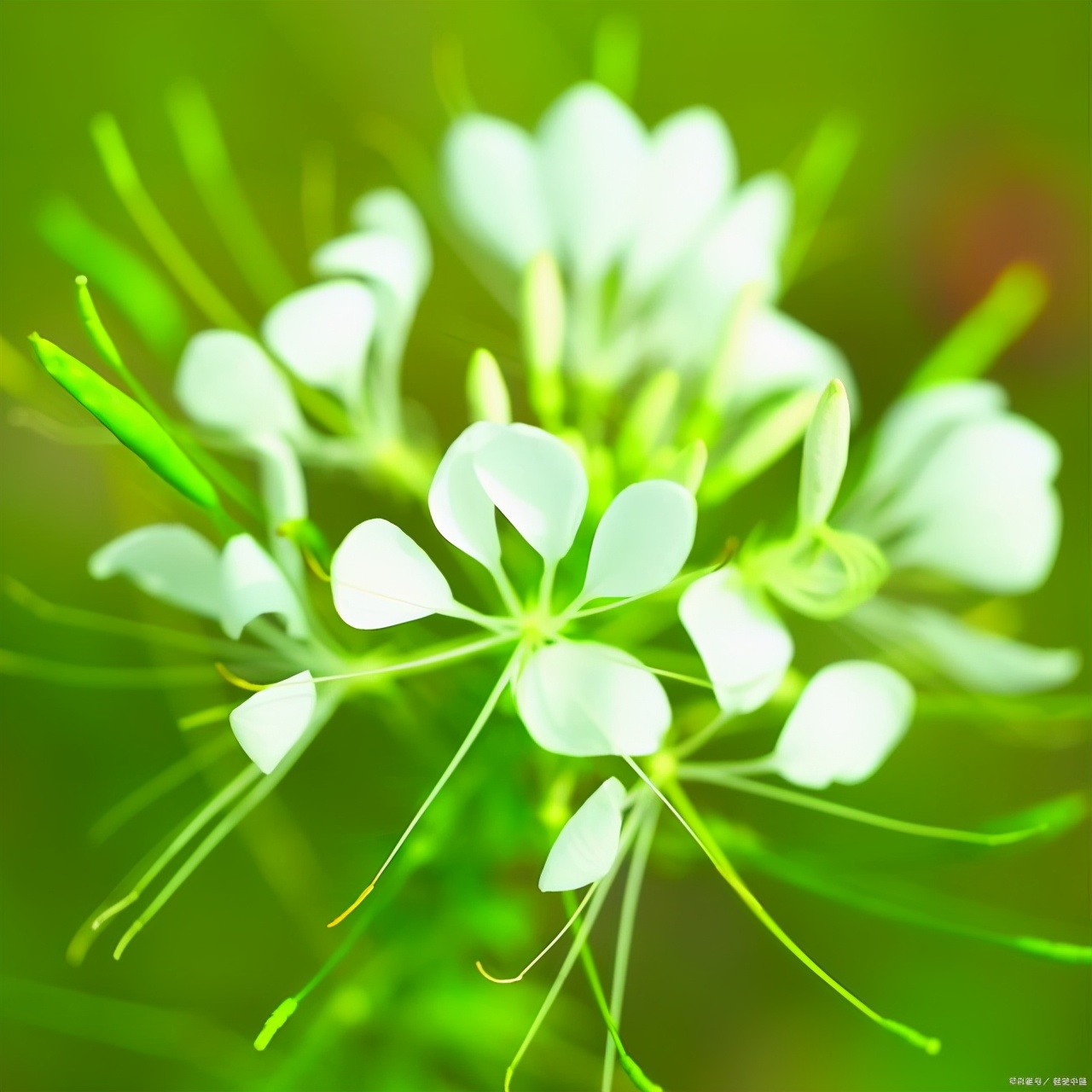 关于成长感悟的作文题目怎么写,成长励志类作文该怎么写