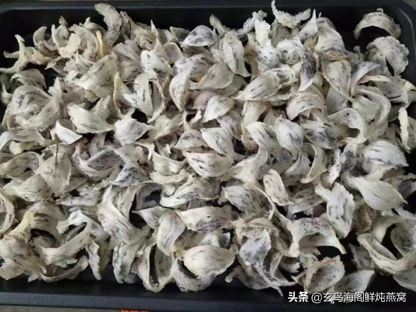 燕窝提问话术,燕窝讲实话