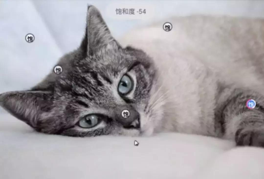 有逼格的p图软件,最近朋友圈很火的修图软件