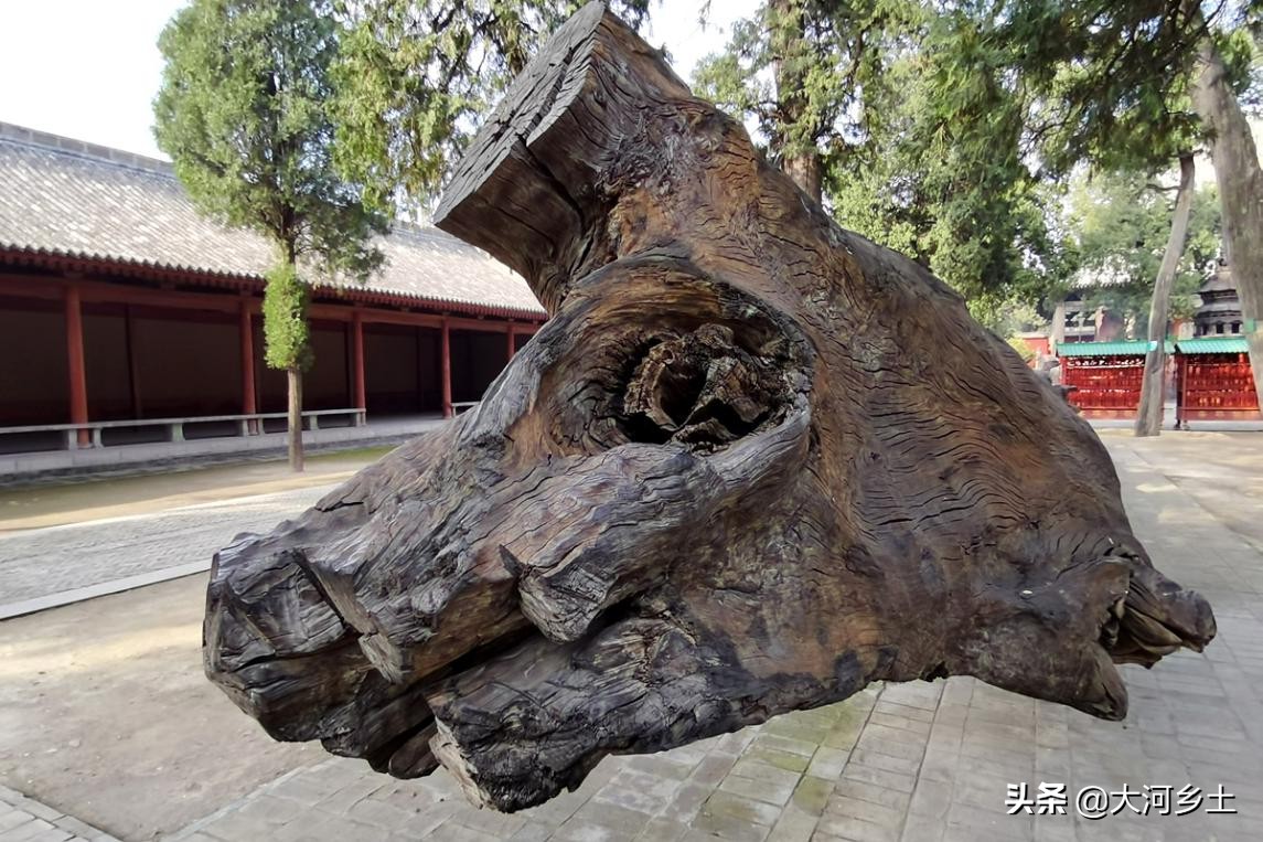 千年乌木关帝庙,关帝庙古树价格