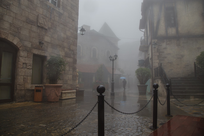 华人在越南经济地位,华人在越南的历史