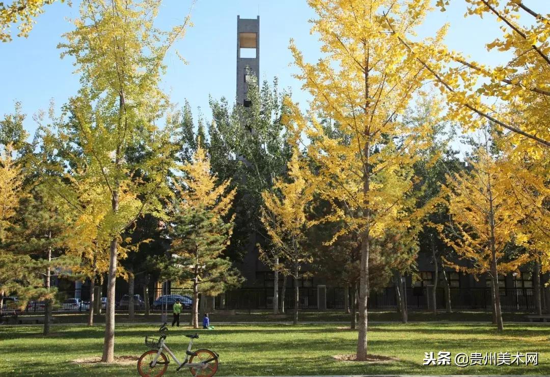 中央美术学院有硕士研究生招生吗,中央美术学院2021年研究生初试