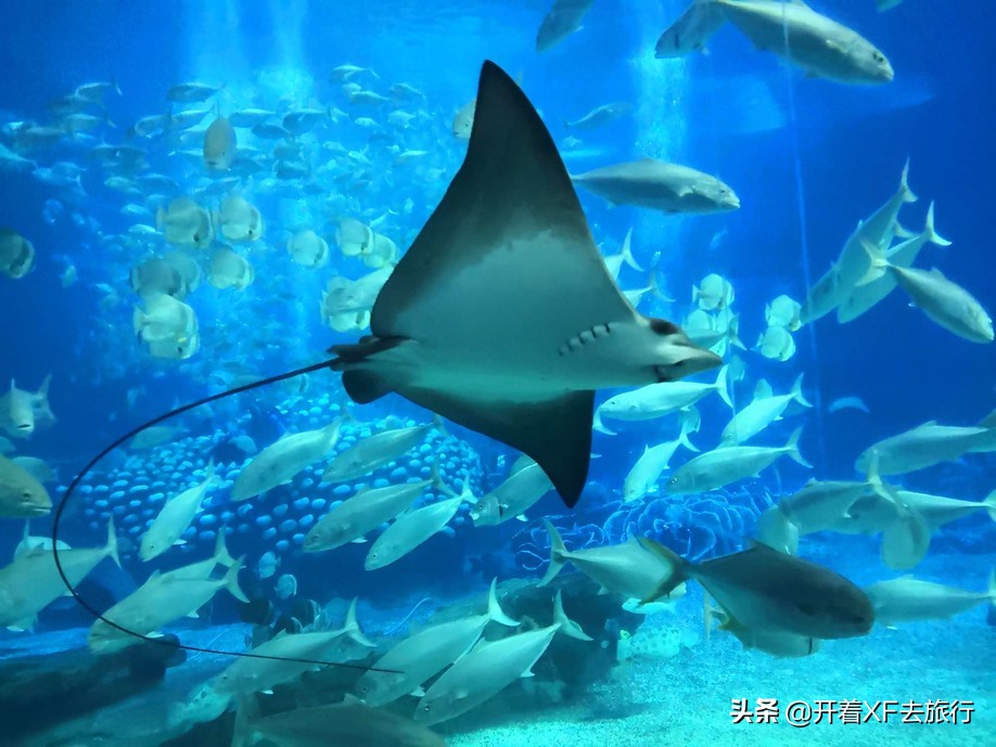 说走就走的旅行攻略省钱一天,说走就走的旅行攻略大全