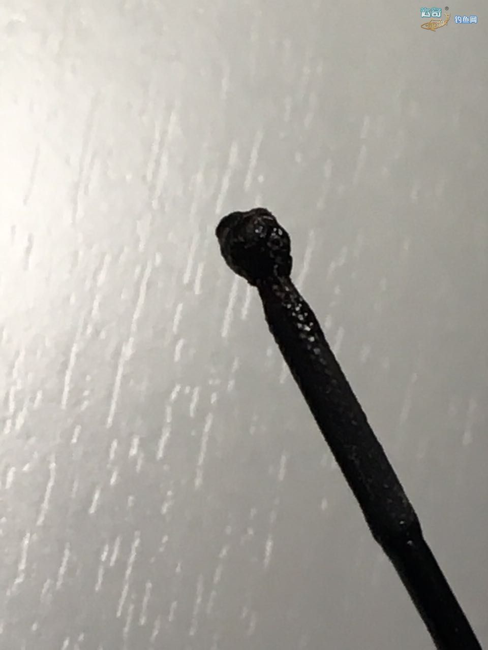 鱼竿小辫不打结绑法,竿稍小辫的正确绑法