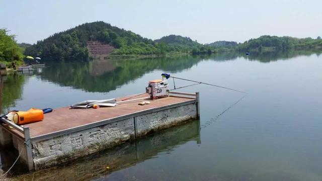佳钓尼官方旗舰店美人鱼,佳钓尼赛事鱼护