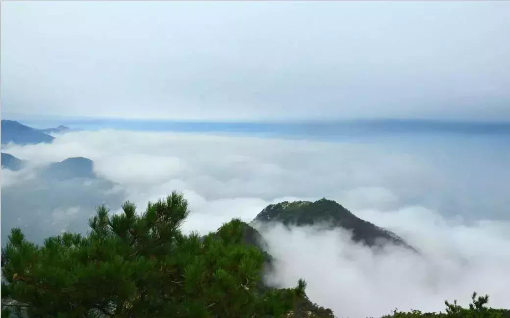 六月份适合山东自驾游的地方,六月山东省旅游推荐