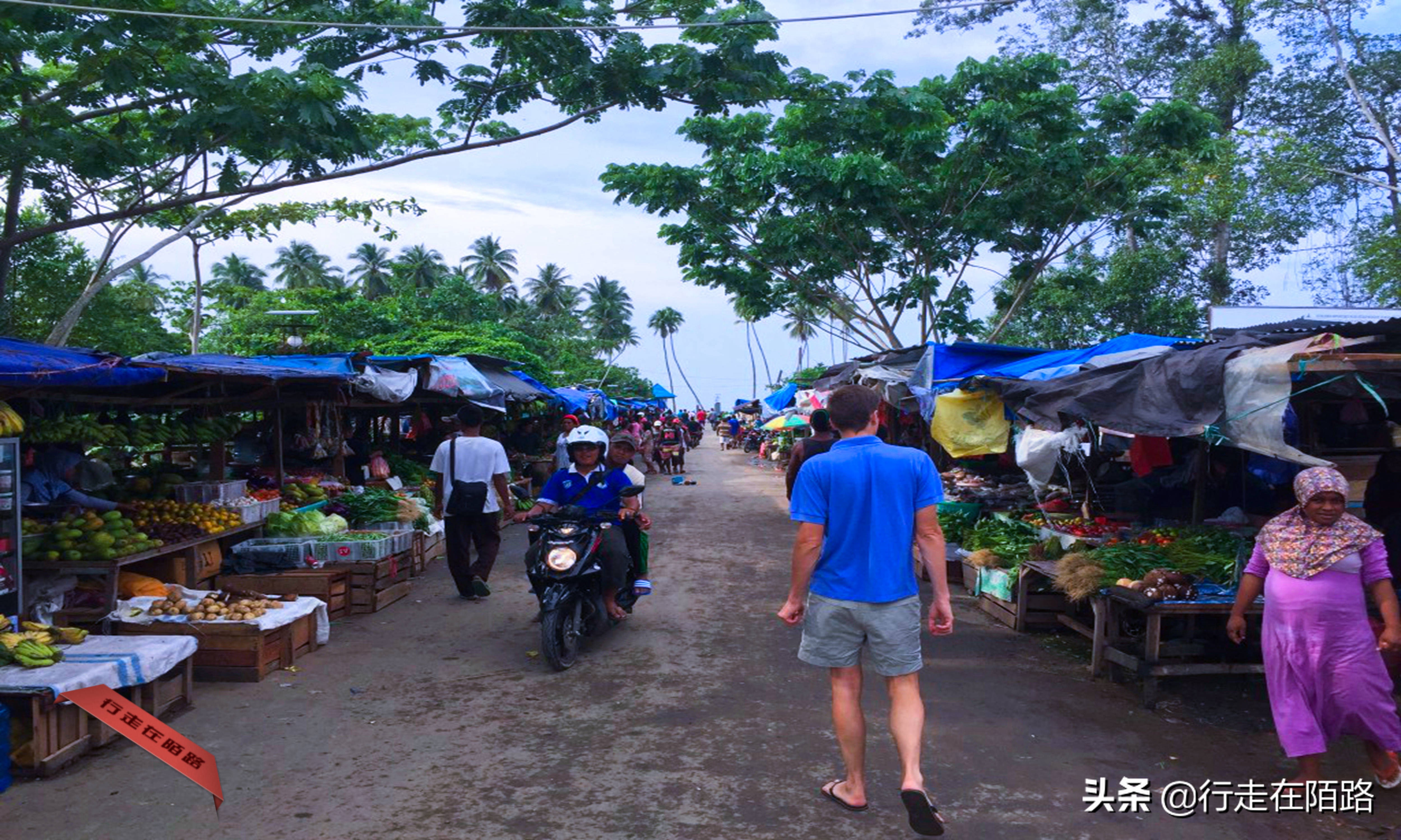 印度尼西亚四王岛旅游费用,四王岛和帕劳哪个好