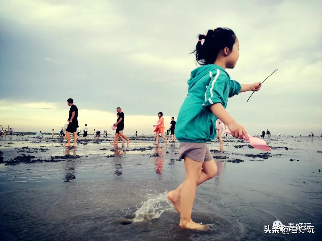 遛娃|南汇新城海滩，魔都夏日必打卡？