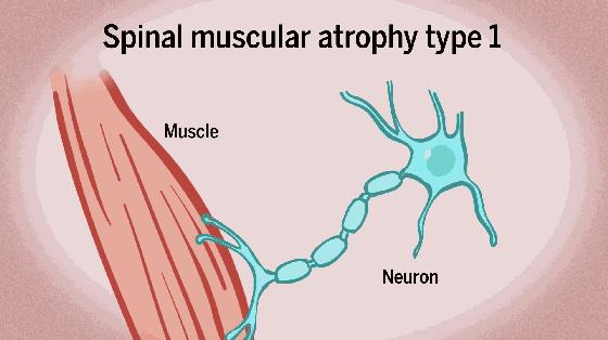 蛇最怕什么？真的不是雄黄粉，研究人员说明了原因