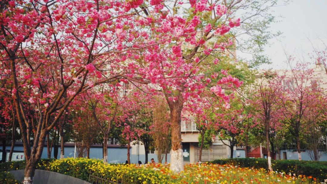 出发四季如春之地昆明,云南昆明攻略冬天