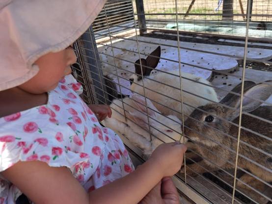 北京附近有什么亲子农场适合遛娃,北京亲子游玩农场推荐地点有哪些