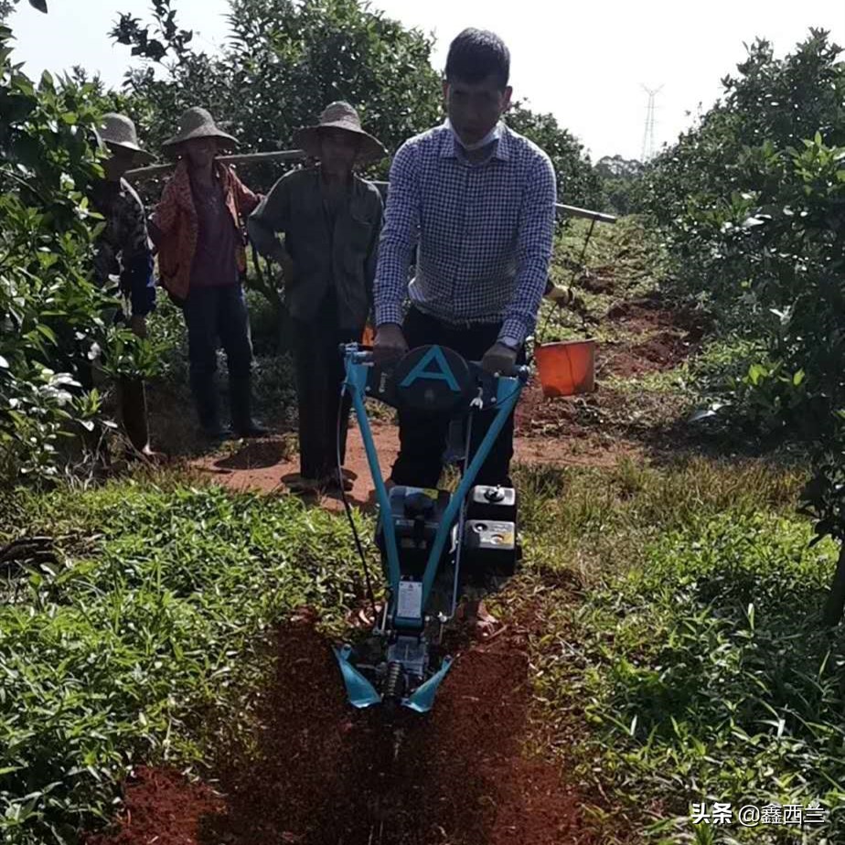 农产品品牌打造的思路与方法,农产品爆款技巧