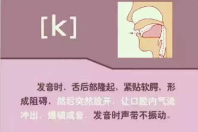 48个国际音标发音清晰口型示范,48个国际英语音标发音表及口型